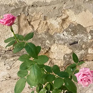 Aletheia Appartamento Brindisi